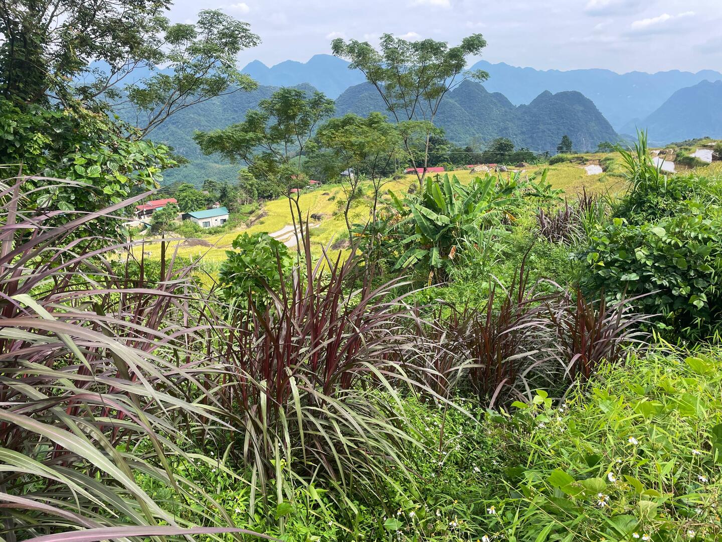 View from above our homestay