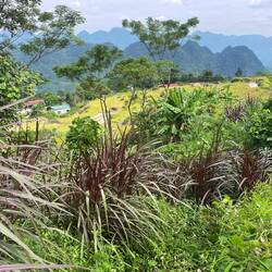View from above our homestay