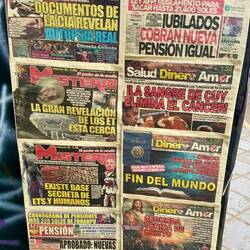 Außerirdische kommen! Meerschweinchen Blut heilt Krebs! Zweite Sichtung Christus