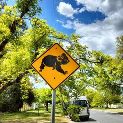 Onze lunchplek in Trentham