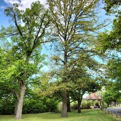 Onze kampeerplek voor de nacht