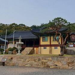 Afternoon tour to a temple.
