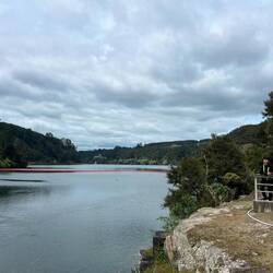Waipapa Dam