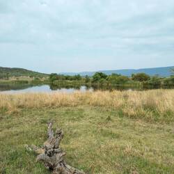 This was our coffee brake place