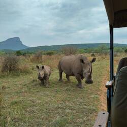 They came super close