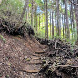 Stufen gab es ständig