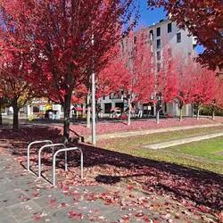 A park and bridge I crossed to get to the train station.