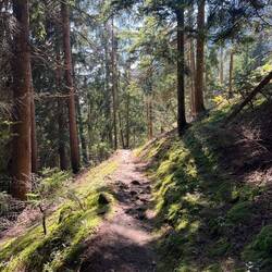 Erst die Straße lang, dann in den Forst...