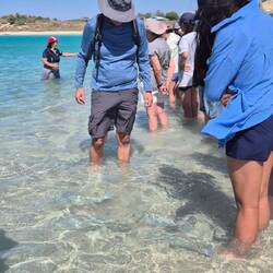 Fischfütterung mit Erklärungen einer Parkrangerin
