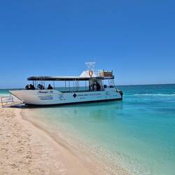 Und man wird nicht enttäuscht