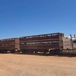 Kleiner Rindertransporter