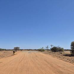 Auf der Fahrt ein einfacher Rastplatz, Schatten gibt es nicht