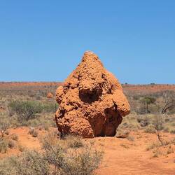 Termitenhügel am Straßenrand