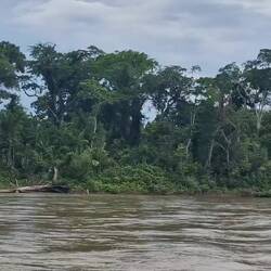 (Video von der Rückfart, hab auf der hinfahrt nicht gefilmt)