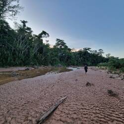 Leeren Händes zurück