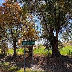 Landstraßen - Feeling