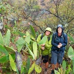 Aber wir haben es überlebt
