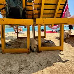 Amigo is also headed nowhere.