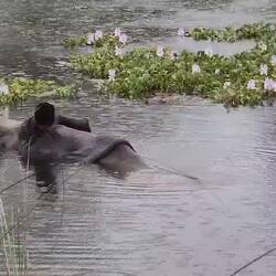 Was Versteck sich da im ..