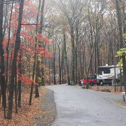 Campsite with the last of the color