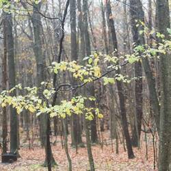 Interesting light and no rain