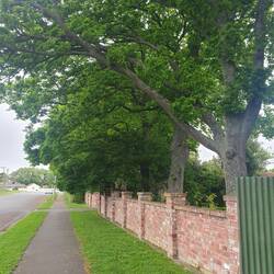 Tai Tapu. Beautiful trees, buildings and structures. What a lovely town to wander around