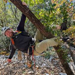 Spirit animal: sloth (dt.: Faultier)