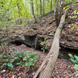 Cavern along the trail