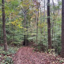 Tims Ford State Park walking trail from the RV Park