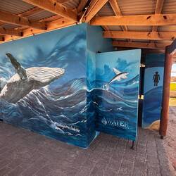 Graffiti in Coral Bay