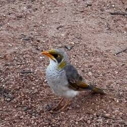 der wollte was abhaben