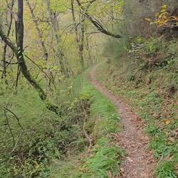 I was so worried I'd stumble and fall off the edge!