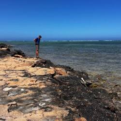 Turtle Center... bei Ebbe nichts zu sehen