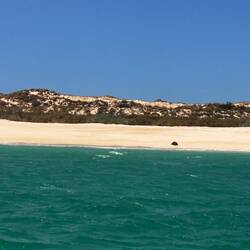 Schildkröten am Strand und viele im Wasser 🐢
