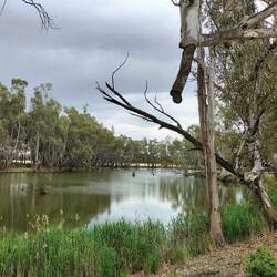 Free Camp bij de rivier Campaspe
