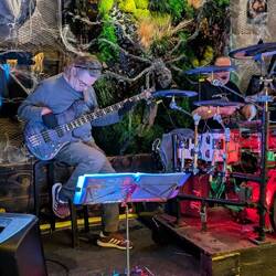 Tarantula bit the bassman