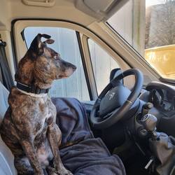 Wenn de Alex e Pause brucht tuet d'Nara s'Stür überneh.