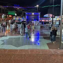 Da steppt der Bär 💃🕺