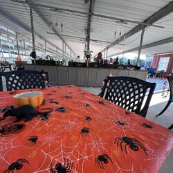 We were early for the Halloween party, but I always like to get a good seat