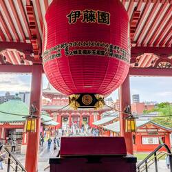 Blick aus dem Schrein