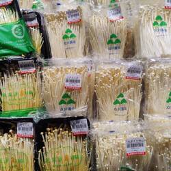 Pilze gibt es in allen Variationen.