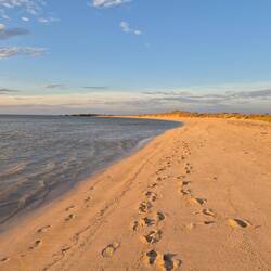 Mangroove Bay im Cape Range Park