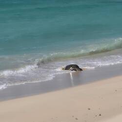 OK - nicht ganz alleine