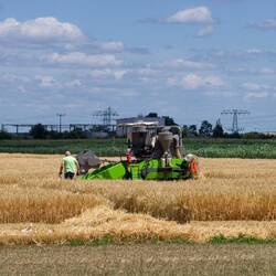 Versuchsfelder entlang der Straße