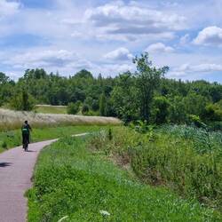 Saaleradweg nach Bernburg