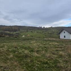 Private farm the camino passes through to get to Roncesvalles