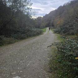 Another pilgrim ahead of me