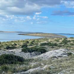 Wer kann unser fahrendes Zuhause entdecken? 🫠🚐