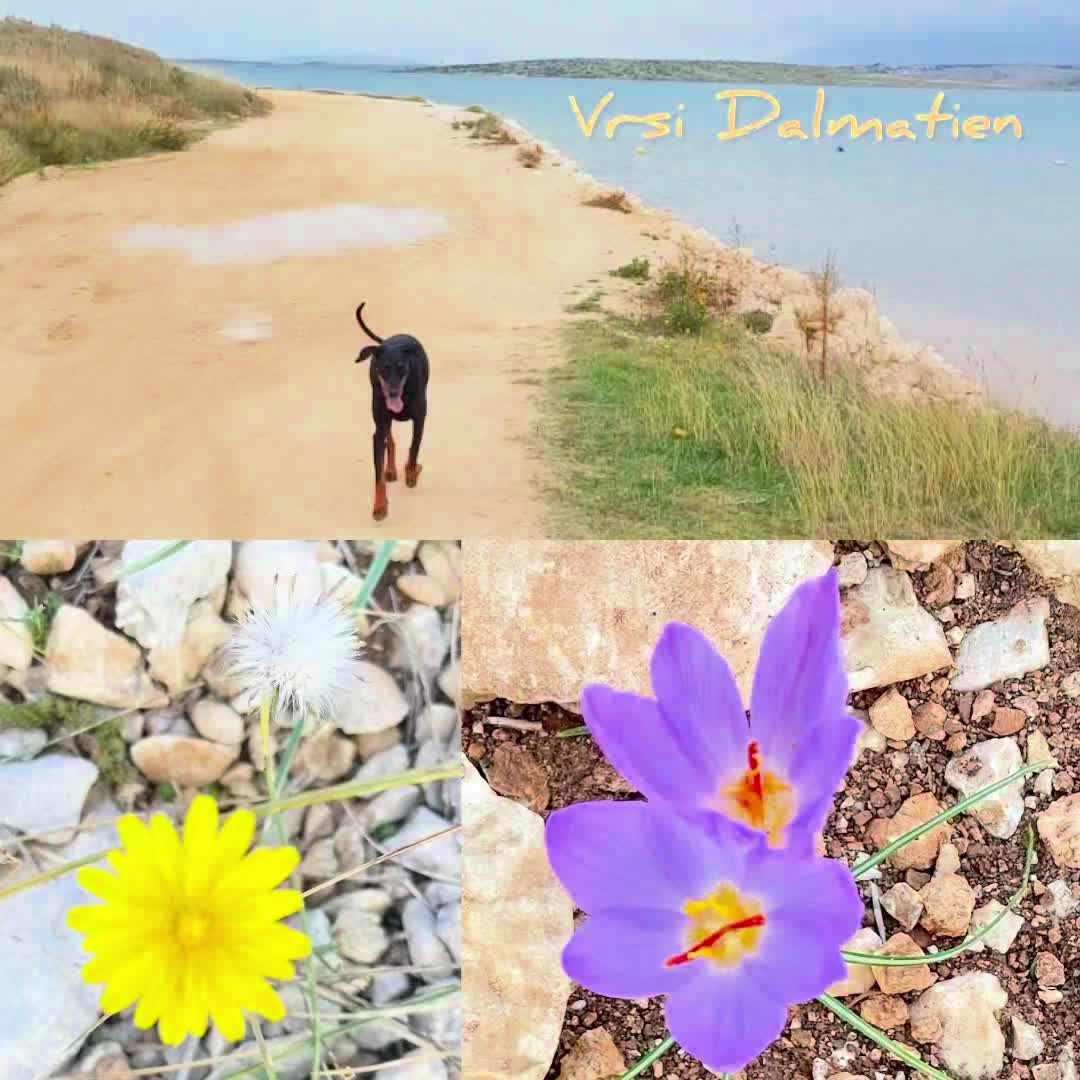 Erholung pur und morgen geht's weiter in Richtung Süden.. 😉