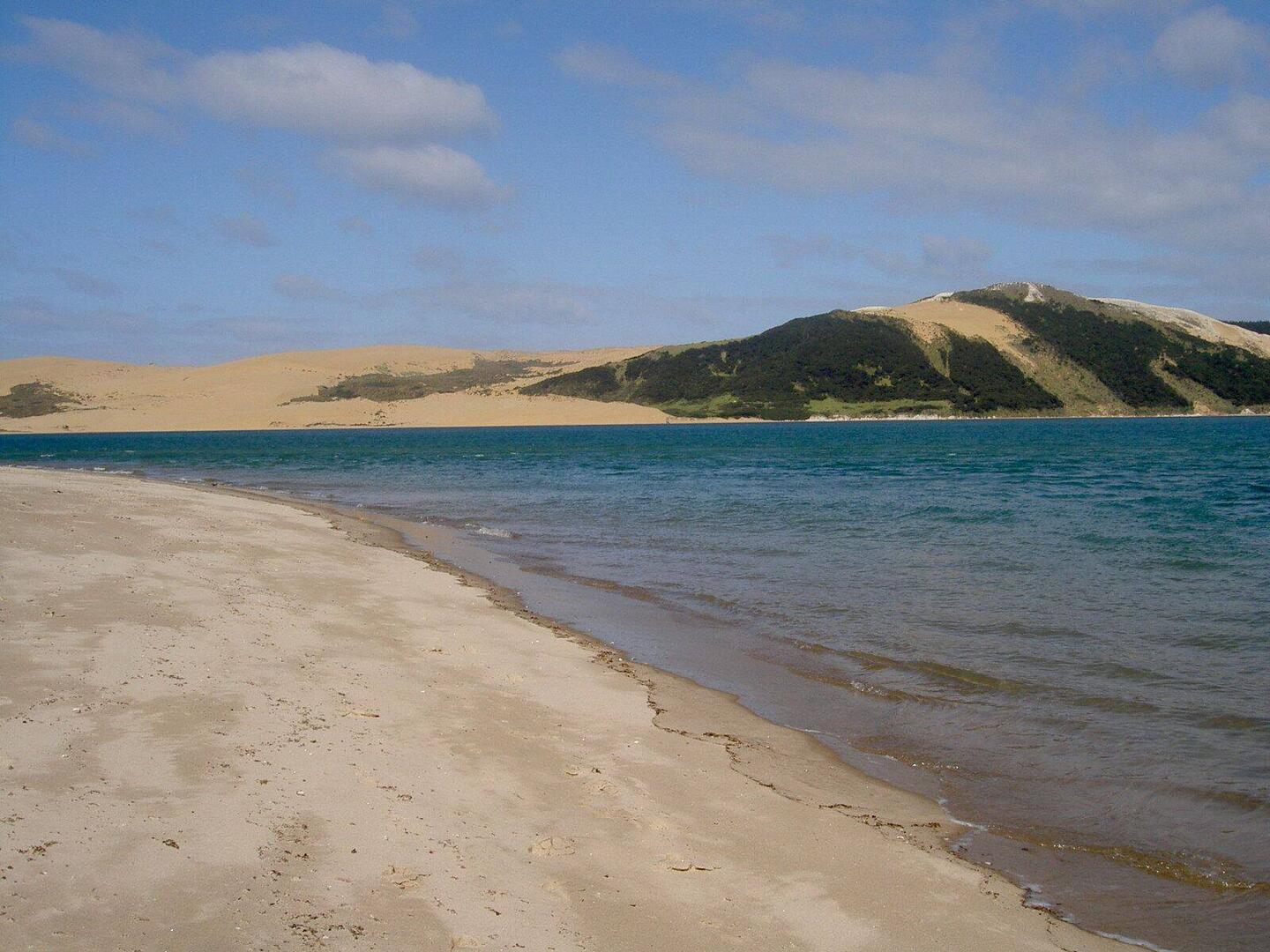 Hokianga Beach